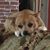 Charlotte Melching-Croteau's profile image