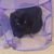 Amy Elizabeth Richards-Siegel's profile image