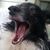 Brenda Albert's profile image