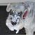 Laurie Duraney's profile image