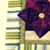 Deb Stanaway's profile image