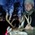 Lucas Foster Redmond's profile image