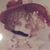 Brittnie Grasmick's profile image
