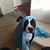 Lisa Krebs's profile image