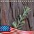 Lynn Covan Bloodsworth's profile image