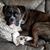 Michael K Prasek's profile image