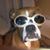 Bill Wadell's profile image