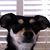 Judith Brown's profile image