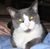 Katherine Crispin's profile image