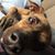Sherry Meath's profile image