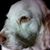 Ruth Kremer's profile image