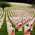 Cathy M Mathews's profile image