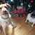 Heidi Kilbourn's profile image