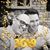 Ricardo Morales Jaimes's profile image