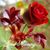 Sahana Roy's profile image
