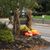 Marybeth Twitchell's profile image