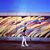 Anusheel Chandra's profile image