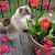 Diana Meyer Rawlings's profile image