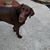 William Srygler's profile image