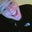 Robin Baugh's profile image