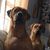 Tonya Siltman's profile image