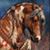 Debbie Gray's profile image