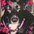 Tracy Smith's profile image