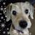 Janice Byrum-Ewy's profile image