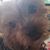 Kathleen Anne's profile image