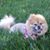 Imani Spirit's profile image