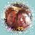 Melissa Vest Pollard's profile image