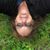 Michele Casavant's profile image