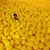 Ameth Barrera's profile image