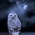 Rebecca Harbison's profile image