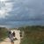Emily Carline's profile image