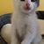 Sue Kurek's profile image