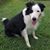 Debra Caldwell's profile image