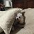 Lisa Edwards's profile image