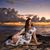 Alisa Overbay's profile image