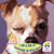 Carmen Carrillo's profile image