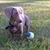 Heidi Weber's profile image