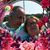 Virginia Sheppard Celaya's profile image