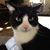 Margaret Weinberger's profile image