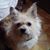 Ernestine Buckner's profile image