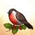 Robynn Marinucci Schlup's profile image