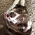 Anne Groniger's profile image