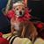 Marianne Haworth Haworth's profile image