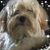 Jackie Koovalles Raymann's profile image