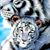 Mary Boyd Hewlett's profile image