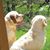Kim L Smith's profile image